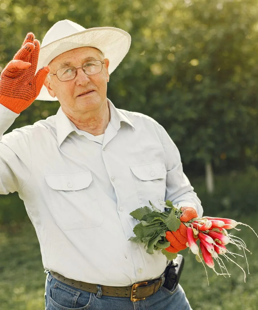 A man in a sun hat holding fresh radishes from his garden